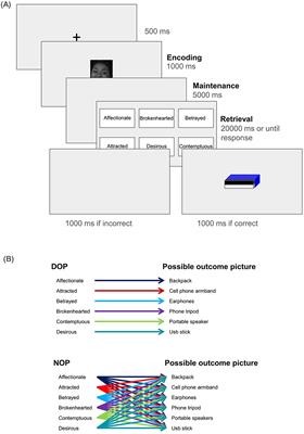 The use of the differential outcomes procedure for the recognition of facial expressions of complex emotions and its electrophysiological correlates